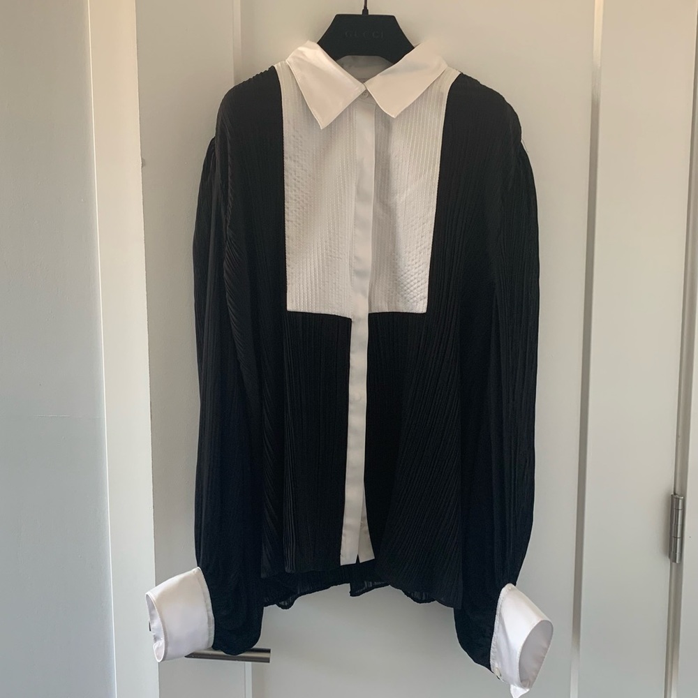 ZARA Pleated Sheer Blouse Shirt Top